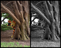 Find the Theta Montage