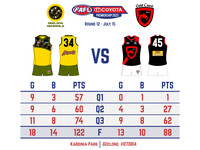 2022 FAFL Season: Round 12 Geelong vs. Gold Coast