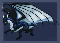 [NMA] - 2022 - Beware of Dragon