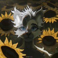 Commission icon