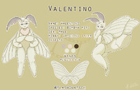 Valentino - Reference Sheet