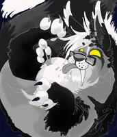 Nos 2022 Silly Beans Blk/Wht