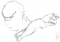 Big tail