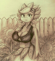 Solar Flare 1