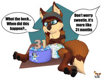 A Birthday Fox