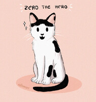 Commission - Zero the Hero
