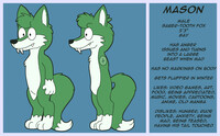 Mason the fox [REF SHEET]