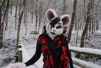 Walking in a Winter Wonderland