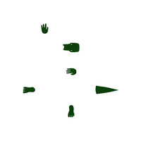 A gator in 6 parts (4/6)