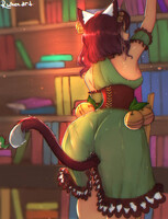 browsing the library