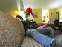 Crashing on the couch