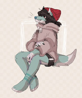 blue husky adopt open