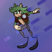 Echo the Hedgehog [Sonic OC]