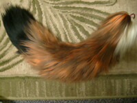 Growly Tail Commission- Finished! Shot #1