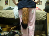 Growly Tail Commission- Finished! Shot #2