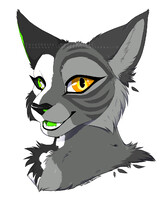 💀 ѕ¢няö∂ιηgєяѕ ¢αт 💀