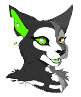 💀 ѕ¢няö∂ιηgєяѕ ¢αт 💀