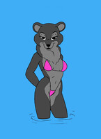 Bikini Bear