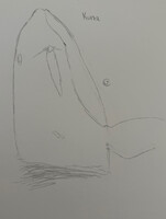 Kuna the Orca Whale
