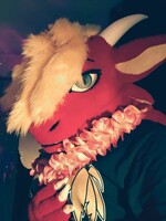 My Fursuit