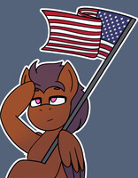 Horizon holding flag