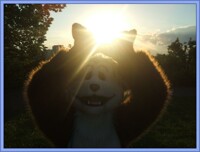 ~~I HOLD THE POWER~~