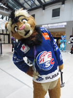 Eurofurence 26 / Con Day 3 / Photo 75