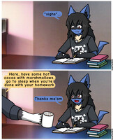 Lucario boy doing his homework