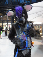 Eurofurence 26 / Con Day 3 / Photo 81