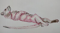 Relaxing Fossa