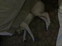 you cant see me