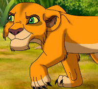 On the prowl