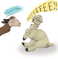 You Not Llama