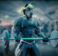 A day at the gym
