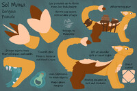 Sol Mana Reference Sheet