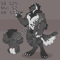 Werewolf Adopt (SOLD)