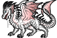 Leucistic Dragon Adopt (sold)