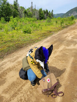 Looting some Medical Supplies. Do you need Bandages? (ful...