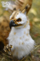 Griffin