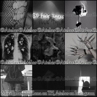 Grey Edgy/grunge doberman moodboard