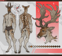 Magnificent Deer.