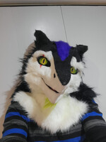 Why Did You Wake Me Up?