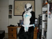 Skunk doll 