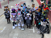 Furwalk Crew