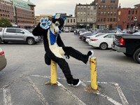 Pole Sitta