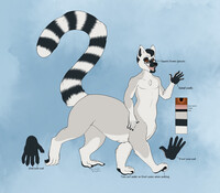 [Commission] lemur taur ref alt (Odie Ringtail)