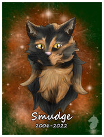 Smudge Remembrance Portrait
