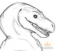Megaraptor sketche