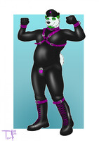 Rubber Panda