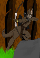 Archer Wolf - Nate Vercetti